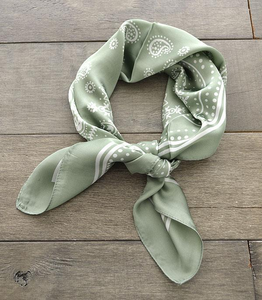 Sage And Cream Paisley Scarf
